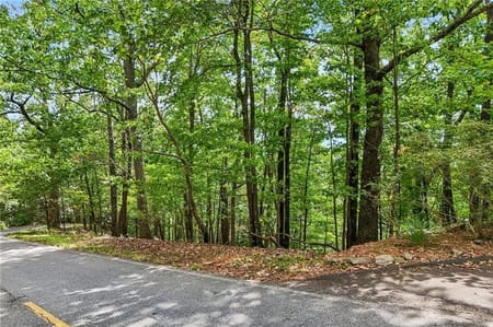 Big Canoe, GA 30143 Dawson County