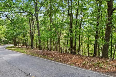 Big Canoe, GA 30143 Dawson County
