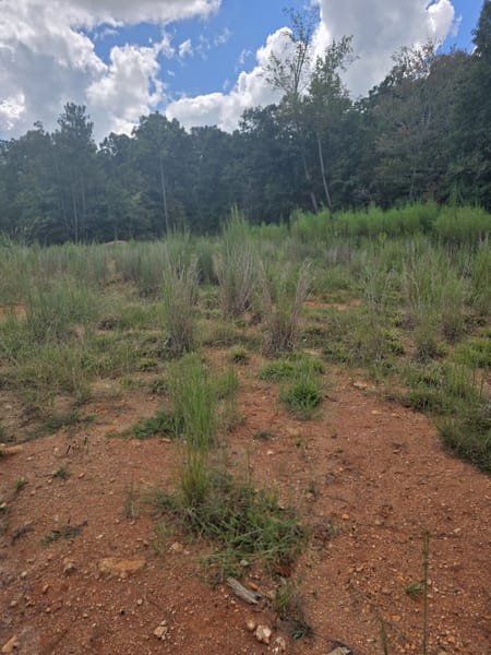 Covington, GA 30014 Walton County