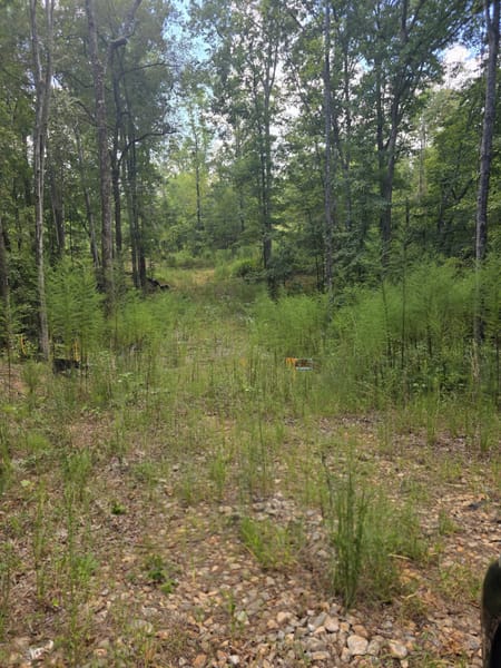 Covington, GA 30014 Walton County