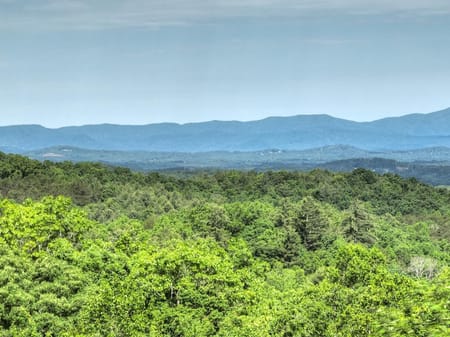 Morganton, GA 30560 Fannin County