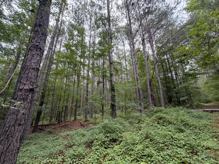 Jackson, GA 30233 Butts County