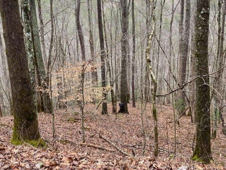 Ellijay, GA 30540 Gilmer County