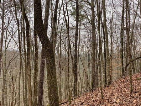 Ellijay, GA 30540 Gilmer County