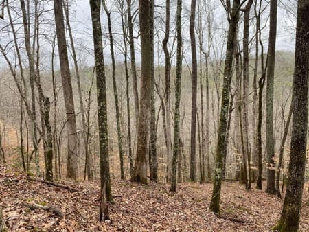 Ellijay, GA 30540 Gilmer County