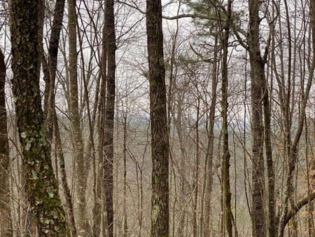 Ellijay, GA 30540 Gilmer County