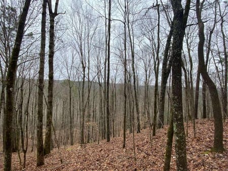 Ellijay, GA 30540 Gilmer County