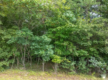 Young Harris, GA 30582 Towns County