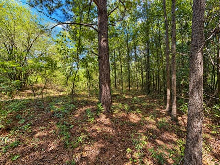 Albany, GA 31705 Dougherty County