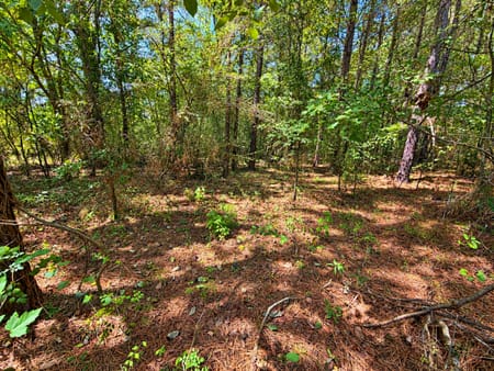 Albany, GA 31705 Dougherty County
