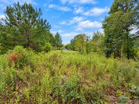 Albany, GA 31705 Dougherty County