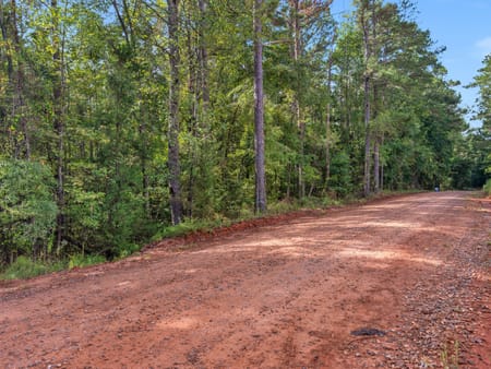 Forsyth, GA 31029 Monroe County