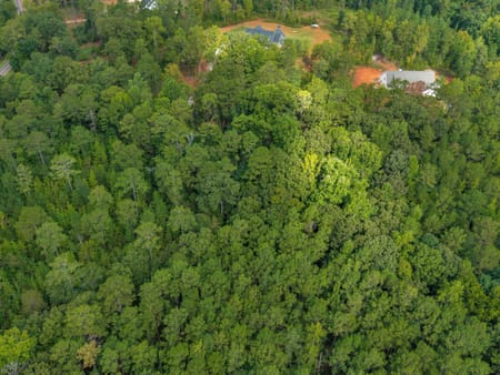 Forsyth, GA 31029 Monroe County