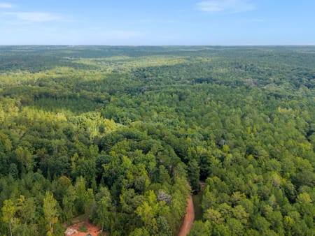 Forsyth, GA 31029 Monroe County