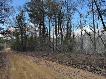 Ideal, GA 31041 Macon County