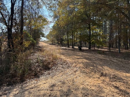 Ideal, GA 31041 Macon County