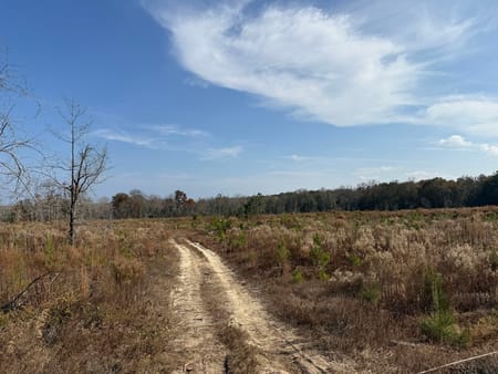 Ideal, GA 31041 Macon County