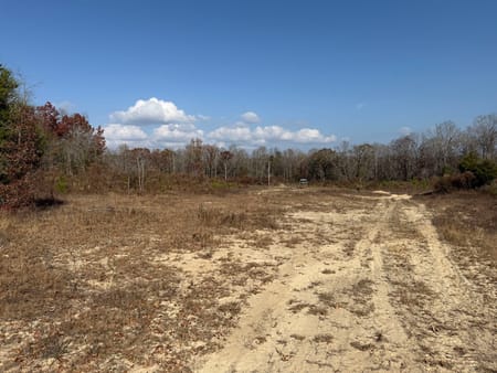Ideal, GA 31041 Macon County