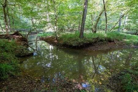 Tignall, GA 30668 Wilkes County