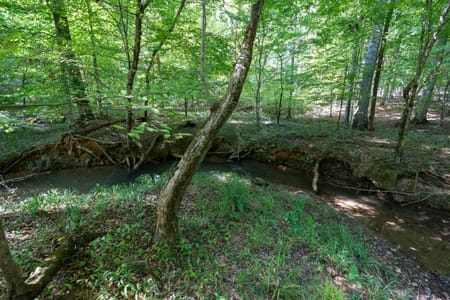 Tignall, GA 30668 Wilkes County