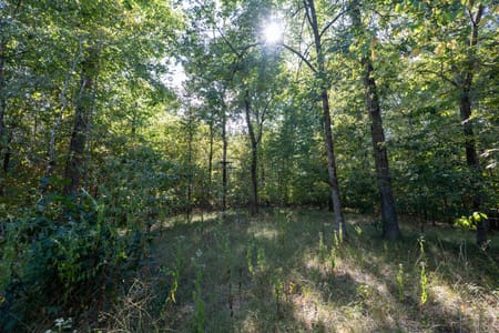 Tignall, GA 30668 Wilkes County