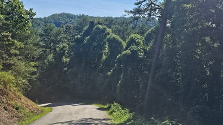 Clayton, GA 30525 Rabun County