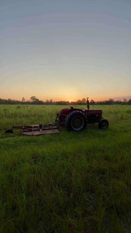 Blythe, GA 30805 Burke County