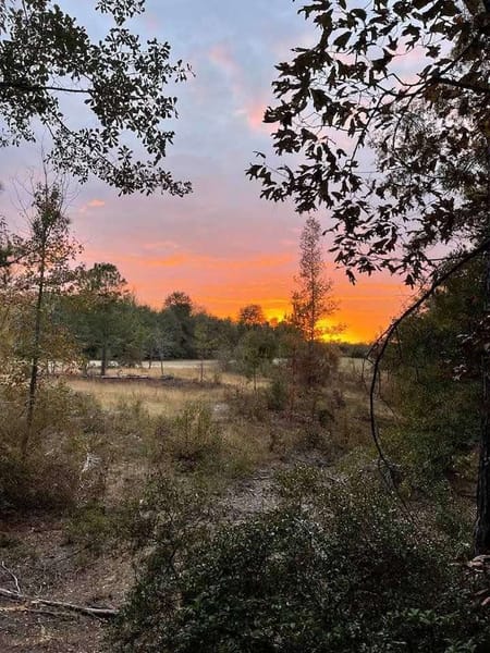 Blythe, GA 30805 Burke County