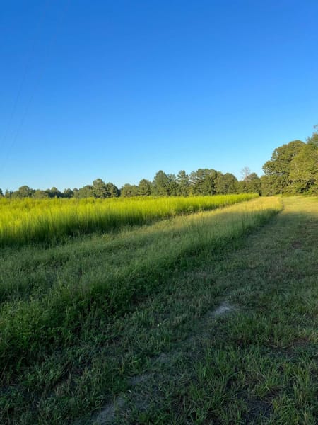 Blythe, GA 30805 Burke County