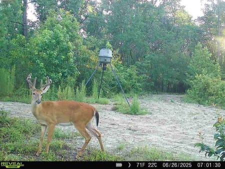 Blythe, GA 30805 Burke County