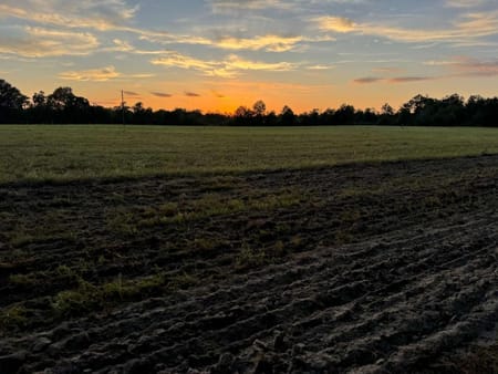 Blythe, GA 30805 Burke County