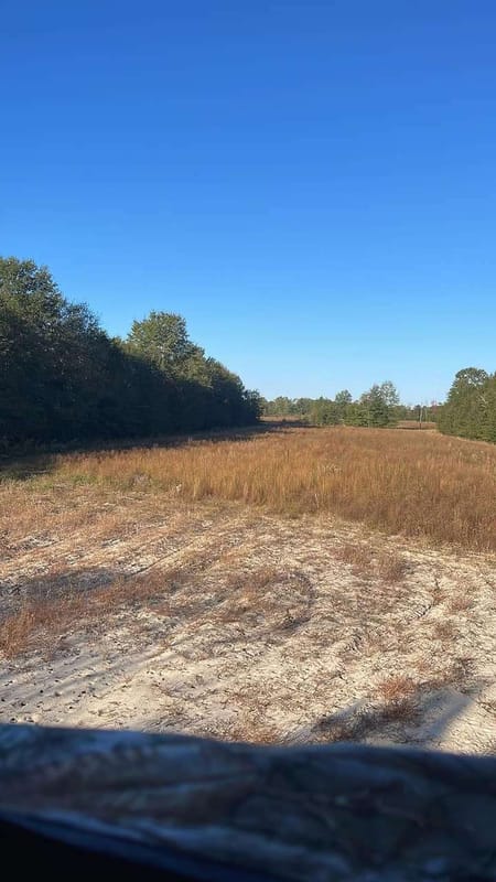 Blythe, GA 30805 Burke County