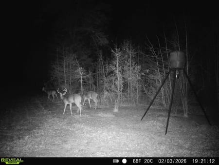 Blythe, GA 30805 Burke County