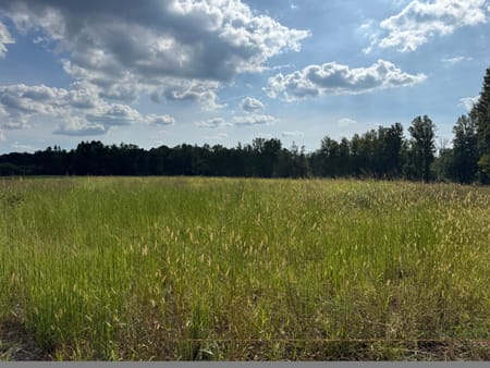 Temple, GA 30179 Haralson County