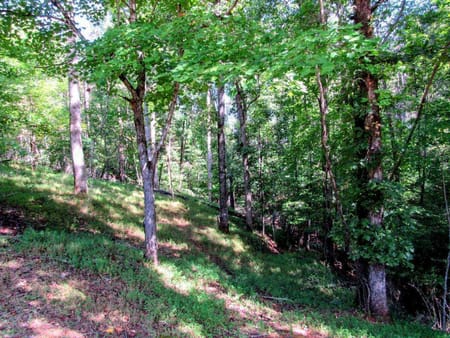 Dahlonega, GA 30533 Lumpkin County