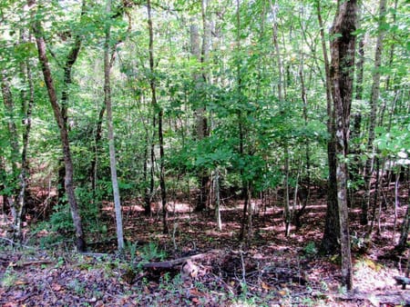 Dahlonega, GA 30533 Lumpkin County