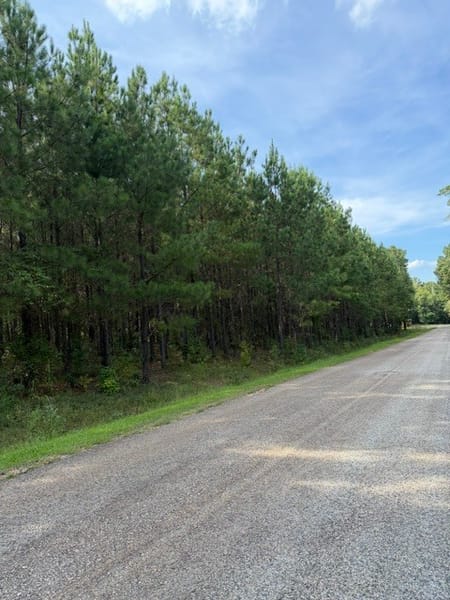 Forsyth, GA 31029 Monroe County