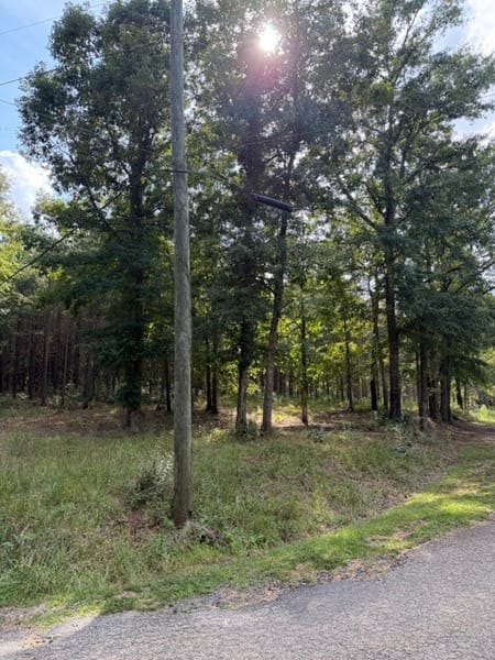 Forsyth, GA 31029 Monroe County
