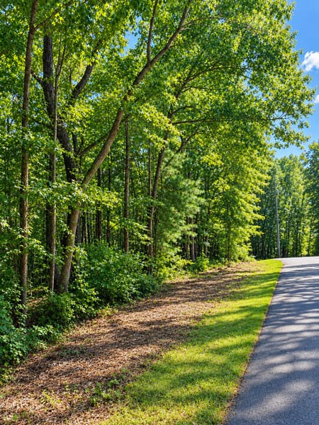 Toccoa, GA 30577 Stephens County