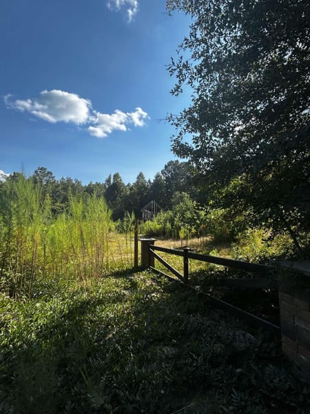 Palmetto, GA 30268 Fulton County