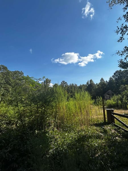 Palmetto, GA 30268 Fulton County