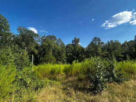 Palmetto, GA 30268 Fulton County
