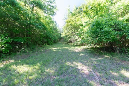 Monticello, GA 31064 Jasper County