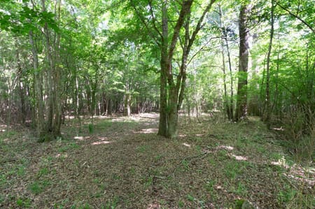 Monticello, GA 31064 Jasper County