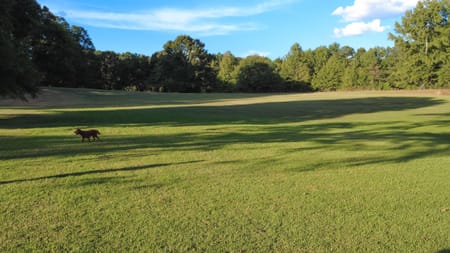 Winterville, GA 30683 Clarke County