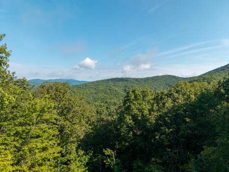 Mineral Bluff, GA 30559 Fannin County