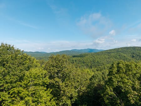 Mineral Bluff, GA 30559 Fannin County