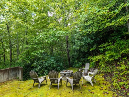 Mineral Bluff, GA 30559 Fannin County