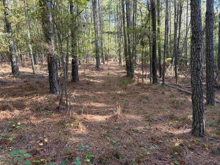 Eatonton, GA 31024 Putnam County