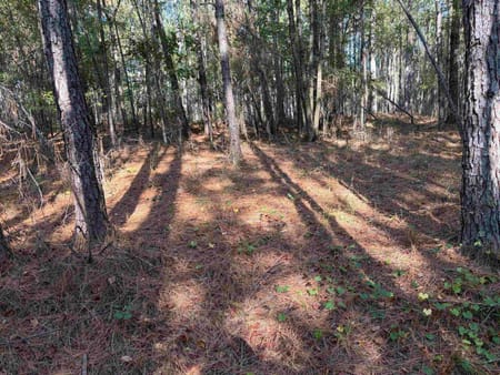 Eatonton, GA 31024 Putnam County